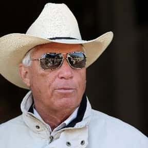 Famous Horse Trainers | List of the Top Well-Known Horse Trainers