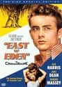 East of Eden on Random Best Movies About Men Raising Kids