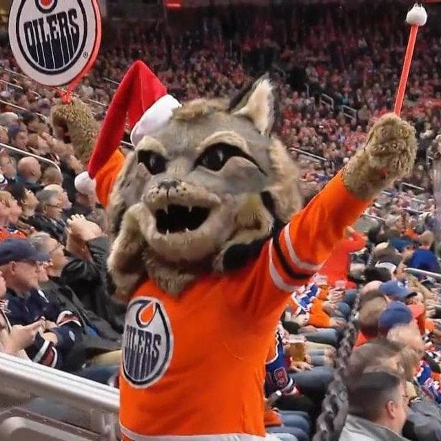 All 30 NHL Mascots, Ranked By Hockey Fans