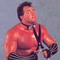 Brutus Beefcake on Random Best WWE Superstars of '80s