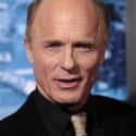 Ed Harris on Random Greatest Actors Who Have Never Won an Oscar (for Acting)