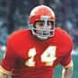 Ed Podolak is listed (or ranked) 8 on the list The Best Iowa Hawkeyes Quarterbacks of All Time