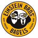 Einstein Bros. Bagels on Random Best Bakery Restaurant Chains