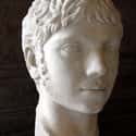 Elagabalus on Random Famous People Who Died On Toilet