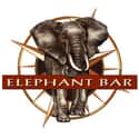 Elephant Bar on Random Best Restaurants to Take a First Dat