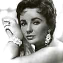Elizabeth Taylor on Random Celebrities Who Have Been Married 4 Times