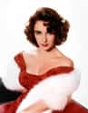 Elizabeth Taylor on Random Quotes From Celebrities About Their Wealth