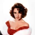 Elizabeth Taylor on Random Quotes From Celebrities About Their Wealth