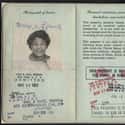 Ella Fitzgerald on Random Celebrity Passport Photos