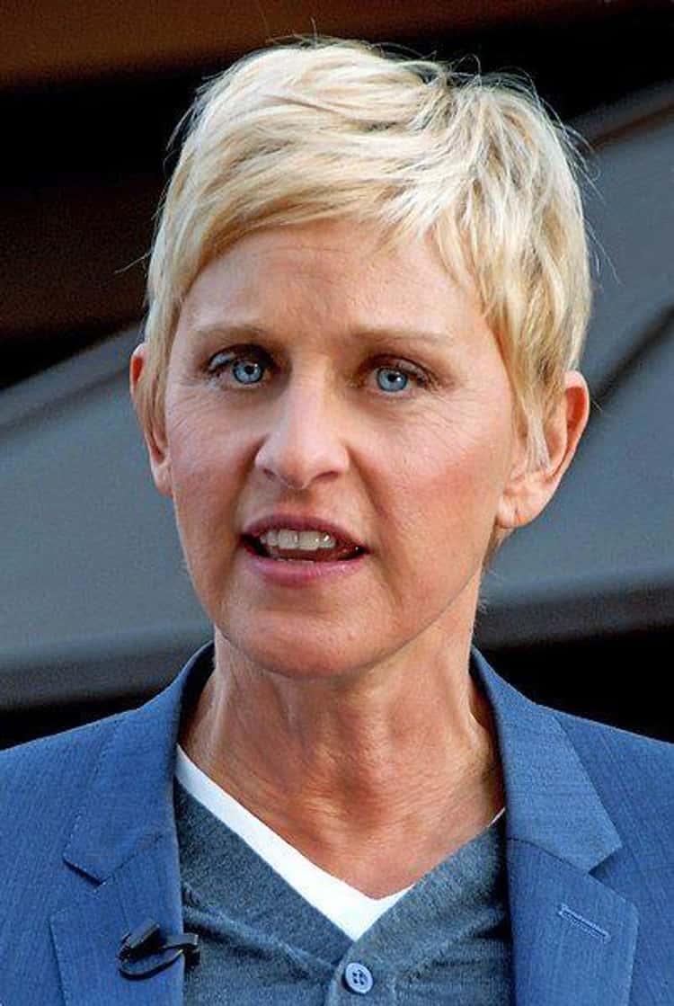 Ellen DeGeneres Influenced Gay Rights Views More Than Any Celebrity