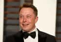 Elon Musk on Random Celebrities Who Should Run for President