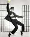 Elvis Presley on Random Extremely Peculiar Personal Quirks that Historic Musicians Had