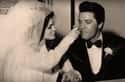 Elvis Presley on Random Rarely Seen Photos Of Old Hollywood Legends On Their Wedding Day