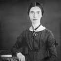 Emily Dickinson on Random Historical Figures Who Struggled With Depression