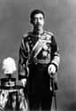 Emperor Taishō on Random Signature Afflictions Suffered By The Most Famous Royals