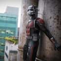Ant-Man on Random Best Characters In Marvel Cinematic Univers