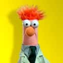 Beaker on Random Most Interesting Muppet Show Characters