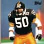 David Little is listed (or ranked) 23 on the list The Best Pittsburgh Steelers Linebackers of All Time