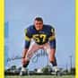 Bill Jobko is listed (or ranked) 45 on the list The Best Atlanta Falcons Linebackers of All Time