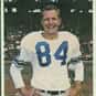 Dave Middleton is listed (or ranked) 21 on the list The Best Minnesota Vikings Wide Receivers of All Time