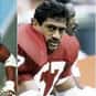 Niko Noga is listed (or ranked) 46 on the list The Best Arizona Cardinals Linebackers of All Time