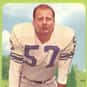 Carl Brettschneider is listed (or ranked) 42 on the list The Best Arizona Cardinals Linebackers of All Time