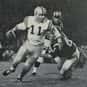 Lynn Amedee is listed (or ranked) 18 on the list The Best LSU Tigers Quarterbacks of All Time