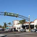 Encinitas on Random Best Cities for Young Couples