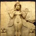Inanna, Lady of Largest Heart   Enheduanna, also transliterated as Enheduana, En-hedu-ana or EnHeduAnna, was an Akkadian princess as well as High Priestess of the Moon god Nanna in the Sumerian city-state of Ur.