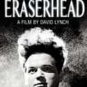 Metacritic score: 87 Eraserhead is a 1977 American experimental body horror film directed by David Lynch.