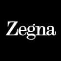 Ermenegildo Zegna on Random Best Designer Sunglasses Brands