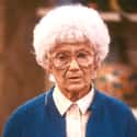 Dec. at 85 (1923-2008)   Estelle Scher-Gettleman, better known by her stage name Estelle Getty, was an American actress and comedienne, who appeared in film, television, and theatre.