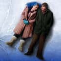 Eternal Sunshine of the Spotless Mind on Random Great Quirky Movies for Grown-Ups
