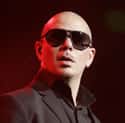 Pitbull on Random Best Musical Artists From Florida