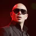 Pitbull on Random Best Singers  By One Name