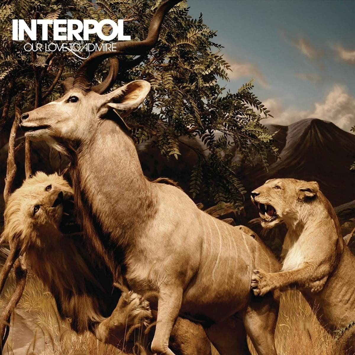 All 7 Interpol Albums, Ranked Best To Worst