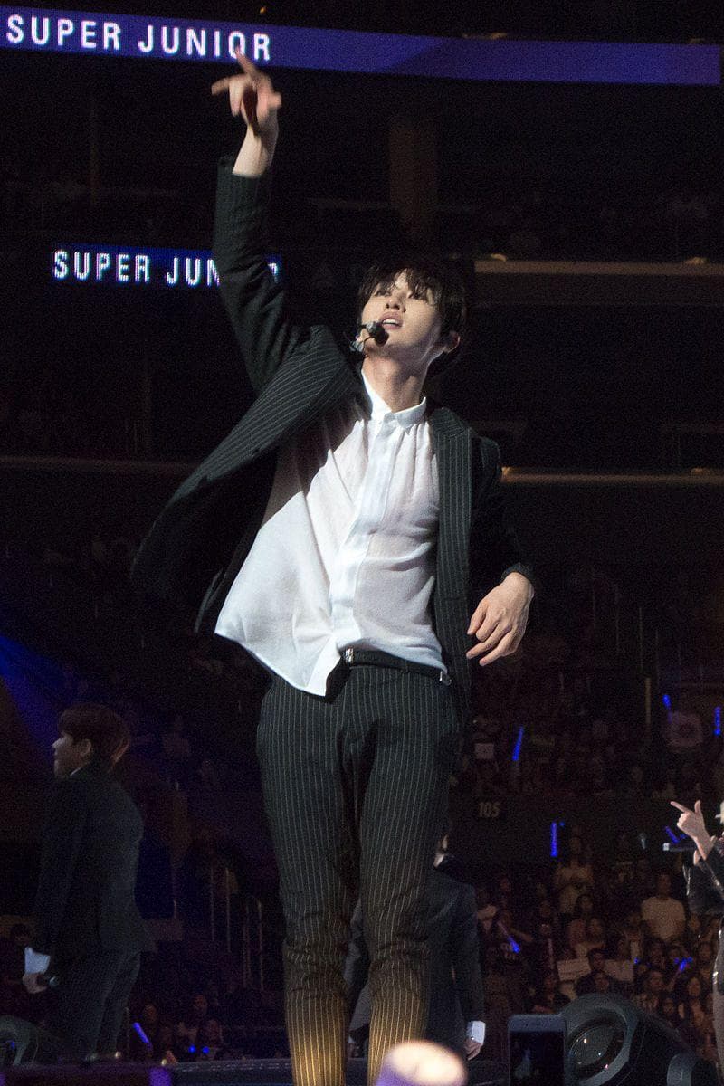 Kpop Idols Who Starred in Musicals