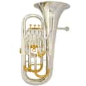 Brass Instruments: List of Musical Instruments in the ...