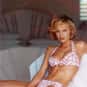 Eva Herzigová is listed (or ranked) 17 on the list The Most Beautiful Models in the World