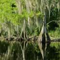 Everglades National Park on Random Best Picture Of Each US National Park
