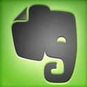 Evernote on Random Best Apps for iOS 7 Devices