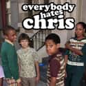 Everybody Hates Chris on Random TV Shows Canceled Before Their Time