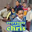 Everybody Hates Chris on Random TV Shows Most Loved by African-Americans
