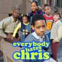 Everybody Hates Chris on Random Greatest Black Sitcoms