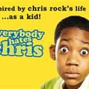 Terry Crews, Tichina Arnold, Tequan Richmond   Everybody Hates Chris is an American sitcom based on the teenage experiences of African American comedian Chris Rock.