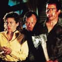 Evil Dead II on Random Movies If You Love 'What We Do in Shadows'