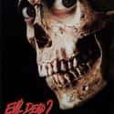 Evil Dead II on Random Best Horror Movies