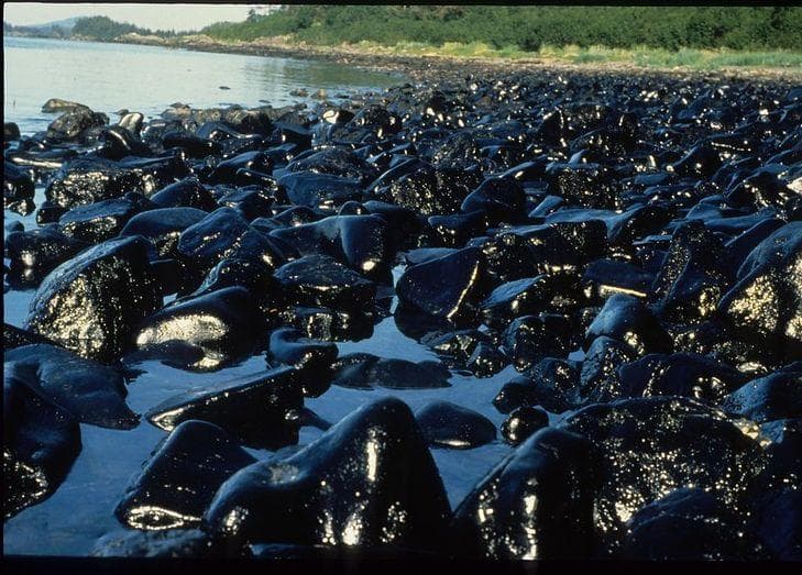 Мазут в черном море 2025 фото 11 Companies That Somehow Survived Their Disasters And Scandals