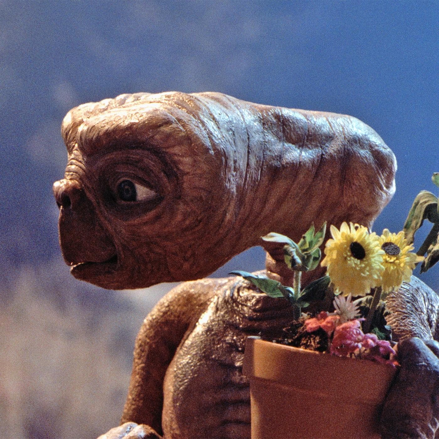 E.T. the Extra-Terrestrial