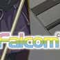 Nihon Falcom is listed (or ranked) 24 on the list Current 20+ Top Japanese Game Developers, Ranked